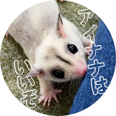 もにさんのプロフィール画像