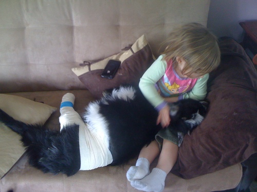 I am a small horse rescue and rehab (also dog & cat), trying to help who we can and educate children and adults on how to affordably care for their horses.