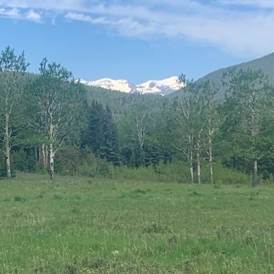 nickelwickel07's profile picture. 