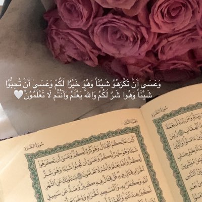 فتاة رقيقه المشاعر🦋