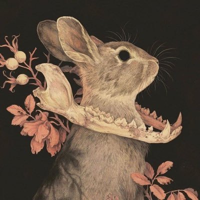 𝙈𝙞𝙨𝙨 𝘼𝙣𝙣 𓃹 𝙏𝙝𝙧𝙤𝙥𝙚さんのプロフィール画像