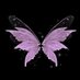 cipa (@yucipaa_) Twitter profile photo cipa (@yucipaa_) Twitter profile photo