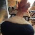 Farley Fella 🍁🔜 CalFurry (@farleybarley) Twitter profile photo Farley Fella 🍁🔜 CalFurry (@farleybarley) Twitter profile photo