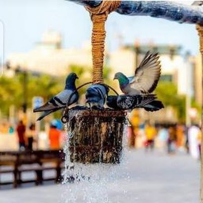 059Bsmls's profile picture. 