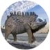 biggieguana (@biggieguana) Twitter profile photo biggieguana (@biggieguana) Twitter profile photo