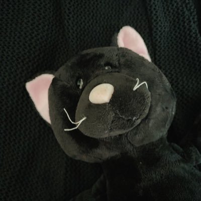 carninkさんのプロフィール画像