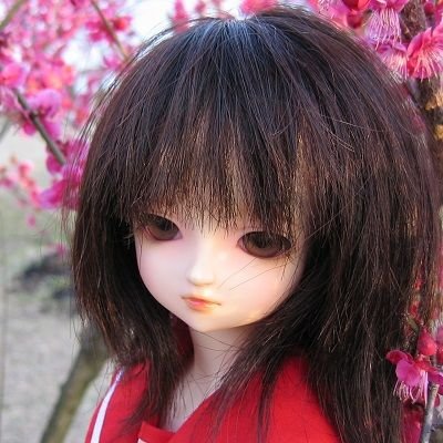 I'm out with a 60 cm doll (Volks Super Dollfie) in a pink  sailor suit.Her name is Ayako.
To Heartのピンクのセーラー服のくるみちゃんを連れて色々と遊びに行く人です。
凍結時は@98USHbJB2DWDYMW