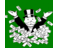 MFCOwner's profile image