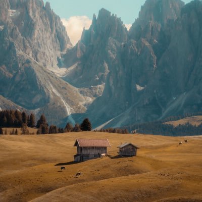 Eut5020's profile picture. 