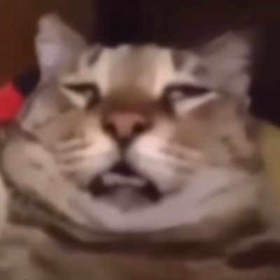 bu_xing35001's profile picture. 