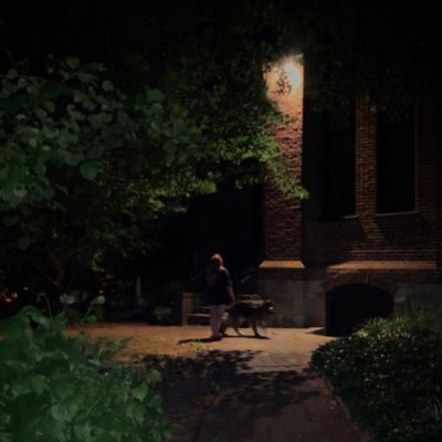 caprice_dinardo's profile picture. 18