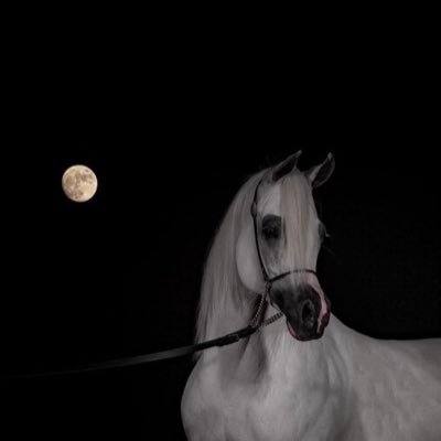 jinan_501's profile picture. واذكر ربكَ اذا نسيت اذا مريت من هنا استغفر🤍