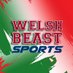 Welsh Beast Sports (@WelshBeastTV) Twitter profile photo