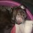 lisafoster7's profile image