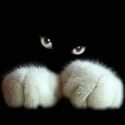 NayNayThuThu86's profile picture. 