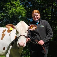 IrishCowGirl (@irish_cow) 's Twitter Profile