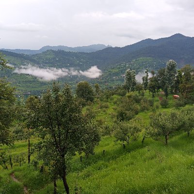 Gulkhanbakhtwar's profile picture. 