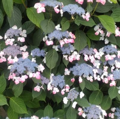 84myumi's profile picture. よろしくお願いします。オンライン秘書を目指して勉強中。本業では経理事務10年総務事務5年の経験あります。お気軽にご連絡下さい。仕訳、会計データ入力、給与計算、年末調整、確定申告。