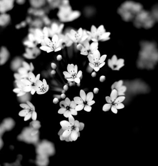 seyline19's profile picture. 