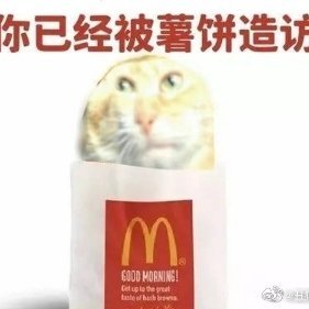 APPL10086's profile picture. 18↑