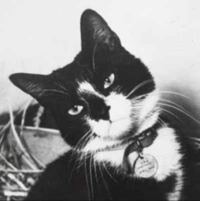 Transcendental anarchy.
Avi is able sea cat Simon. Decorated hero of WW2 buried in London.