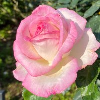 kay (@kay20230801) Twitter profile photo