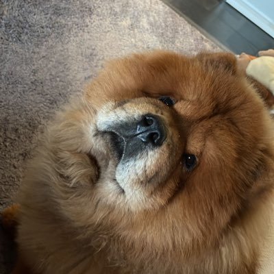 Rikilopes1991's profile picture. 