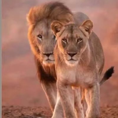 abdella37402667's profile picture. 