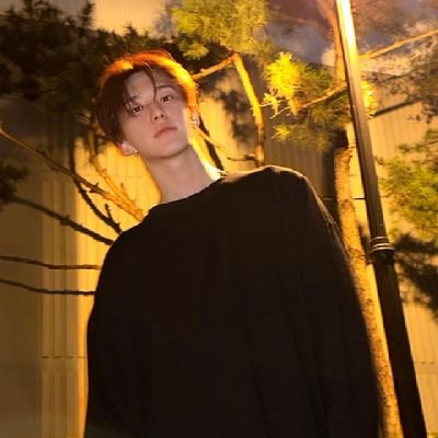 Horanghae379's profile picture. Seventeen 🧡