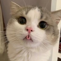 空空空 (@simon_hulovebig) 's Twitter Profile