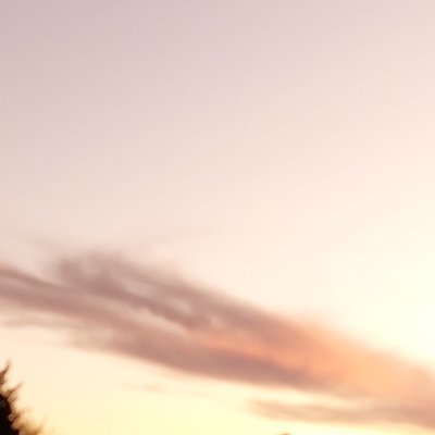 sweetkissyhslt's profile picture. 