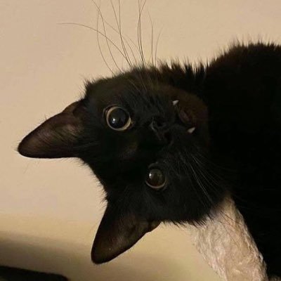 htasunshine's profile image