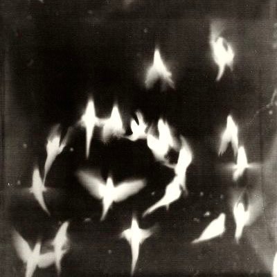 bella78519091's profile picture. !!!!!!!! TW