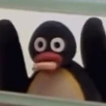 LeKrabs's profile picture. la folie d’un joueur argentin chez les napolitains