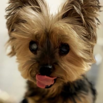 mtfujiyg47's profile picture. 3DCG Rigging Supervisor & Rigging Artist