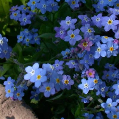 AmyKishel87592's profile picture. 