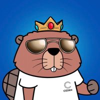 Alex (@alex_moody) 's Twitter Profile Photo