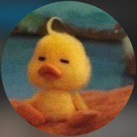 çağlasu (@caglacalisskan) 's Twitter Profile
