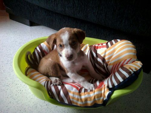 mariadiazbravo's profile picture. 