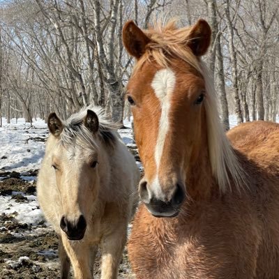 EASM420's profile picture. 