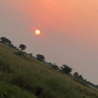 Eriya Tumwine (@eriyatumwine) 's Twitter Profile Photo Eriya Tumwine (@eriyatumwine) 's Twitter Profile Photo