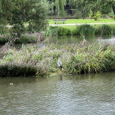 anna1sg's profile picture. 