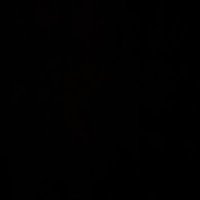 naniii (@clarkloise_p) 's Twitter Profile