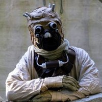 ショタスケン (@sw68919889) 's Twitter Profile