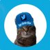 Tiggy & HuMum Denise (@denisemartin58) Twitter profile photo Tiggy & HuMum Denise (@denisemartin58) Twitter profile photo