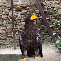 enzo (@enzo80180184) 's Twitter Profile