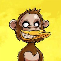 lucasgaw10 $ROLL🟧 (@lucasgaw10) 's Twitter Profile