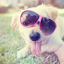 Kayla Renée Allan♥ - @LoveThisPain21 - Twitter