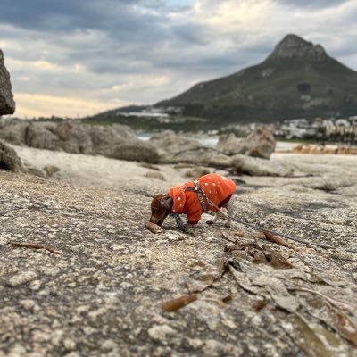 _goodhood's profile picture. Mom Pisces Entrepreneur Enthusiast 🖤