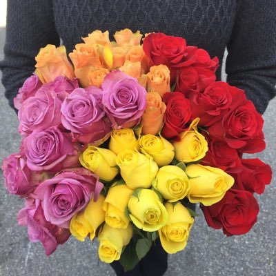 jdaleydo's profile picture. 